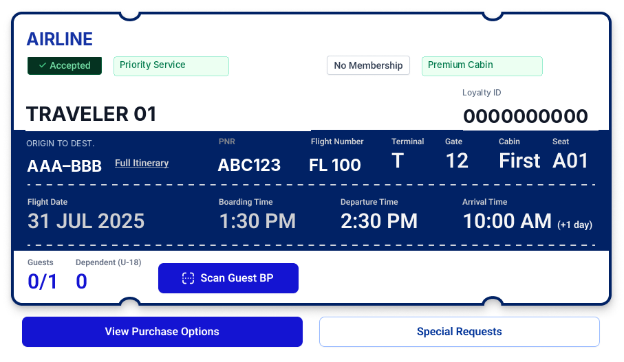 Real priority-service ticket design, anonymized while preserving the original blue visual treatment